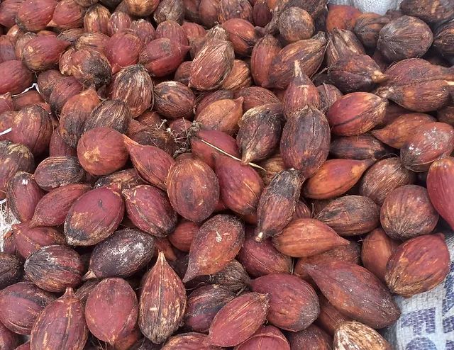 toptan tesbih kuka hammadesi